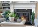Living room fireplace with white mantle and glass screen, with plants on a table in front of it at 995 Westlake Hills Dr, Columbus, IN 47201