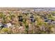 Beautiful aerial view of a well-maintained neighborhood with mature trees at 241 Melissa Ann Ct, Indianapolis, IN 46234