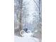 Scenic winter view of the property, showing a beautiful barn amid snow-covered trees at 4031 N Banta Rd, Bargersville, IN 46106