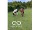 Horses graze peacefully in a lush green pasture, surrounded by a white fence at 4031 N Banta Rd, Bargersville, IN 46106