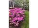 Lush landscaping featuring vibrant pink azaleas and manicured lawn, enhancing the property's curb appeal at 8220 Traders Hollow Ct, Indianapolis, IN 46278