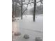 Snow covered lawn with trees and bushes at 8220 Traders Hollow Ct, Indianapolis, IN 46278
