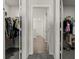 Hallway with carpeted floor and walk-in closets with adjustable shelving at 1399 Hat Band St, Danville, IN 46122