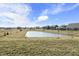 Scenic community pond surrounded by lush greenery and beautiful residential homes at 1399 Hat Band St, Danville, IN 46122