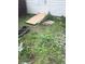 Overgrown backyard with a shed offering redevelopment opportunities at 335 S Dearborn St, Indianapolis, IN 46201