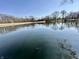 Picturesque pond reflecting the surrounding trees and blue sky, creating a serene and tranquil setting at 5850 Paradise Ln, Martinsville, IN 46151