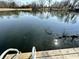 Still pond with wood deck and ladder, surrounded by trees on a sunny day at 5850 Paradise Ln, Martinsville, IN 46151