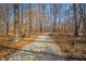 Scenic walking path winding through a tranquil wooded area, ideal for outdoor recreation and enjoying nature at 6699 Dunkirk Dr, McCordsville, IN 46055
