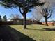 The grassy backyard is spacious and private, and mature trees offer plenty of shade at 204 W Pullman St, Waldron, IN 46182