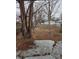 View of the backyard from the concrete stairs of the home at 238 S Temple Ave, Indianapolis, IN 46201