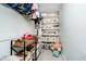 Walk-in closet with organized shelving and ample storage space at 534 1/2 Amos Dr, Zionsville, IN 46077