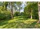 A view of the trees in the backyard, creating a private and natural setting at 6980 N Pennsylvania St, Indianapolis, IN 46220