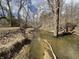 Scenic view of a clear stream winding through a wooded area at 3040 Old Morgantown Rd, Martinsville, IN 46151