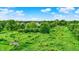 An aerial view of a lush property with mature trees and open space at 905 S Maple St, Fortville, IN 46040