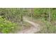 Experience the hiking trail that meanders through dense foliage at 9709 Tampico Chase, Fishers, IN 46040