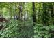 Wooded area showing some of the lot size at 12348 Seaway Cir, Indianapolis, IN 46236