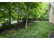 Backyard with mature trees and lush green grass at 12348 Seaway Cir, Indianapolis, IN 46236