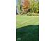 Large manicured backyard with mature trees and sunlight at 2882 Simsbury Ln, Brownsburg, IN 46112