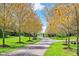 Long, winding driveway lined with mature trees and manicured lawns leads to the property entrance at 4491 N 75 W, Franklin, IN 46184