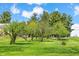 Scenic orchard with rows of trees and beehives under a blue sky at 4491 N 75 W, Franklin, IN 46184