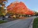 Beautiful homes lined with colorful trees create a vibrant neighborhood scene at 7943 Beaumont Green East Dr, Indianapolis, IN 46250
