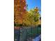 Fenced-in backyard with mature fall foliage at 11691 Diamond Pointe Ct, Indianapolis, IN 46236