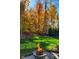 Inviting backyard firepit with fall foliage backdrop at 11691 Diamond Pointe Ct, Indianapolis, IN 46236