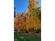 Backyard view with lush grass and vibrant autumn trees at 11691 Diamond Pointe Ct, Indianapolis, IN 46236