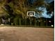 Outdoor basketball court and goal with some evergreens at night at 1258 Soaring Eagle Dr, Greenwood, IN 46143