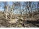 A backyard wooden bridge surrounded by beautiful trees, leading to an outdoor area with chairs at 6149 W Country Ln, Anderson, IN 46011