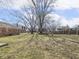 Wide backyard features grass, mature trees, a swing set, and blue skies at 1840 Hibiscus Dr, Indianapolis, IN 46219