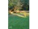 Scenic backyard with lush greenery and deer grazing near the wooden fence, adding a touch of nature at 4709 S County Road 500 E, Plainfield, IN 46168