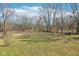 Large backyard with trees at 4709 S County Road 500 E, Plainfield, IN 46168