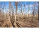 Backyard with lots of tall trees at 2408 E Stafford Pl, Martinsville, IN 46151