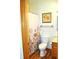 Cozy bathroom with a toilet, shower with floral curtain and wooden-look flooring at 37 Trotters Run, Brownsburg, IN 46112