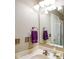 Modest bathroom with purple towels hanging, a sink with vanity, and a soap dispenser at 6144 Maple Branch Pl, Indianapolis, IN 46221