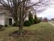 Landscaped front yard with mature trees and evergreens bordering a two-story home at 6651 Sonesta Dr, Indianapolis, IN 46217