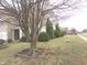 Grassy front yard with mature tree and green bushes by the house at 6651 Sonesta Dr, Indianapolis, IN 46217