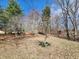 Scenic backyard with mature trees and foliage; perfect for enjoying outdoor living at 10960 Marlin Rd, Indianapolis, IN 46239