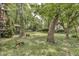 Spacious backyard featuring mature trees and a screened-in porch at 569 King Dr, Indianapolis, IN 46260