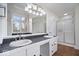 Bright bathroom with double sinks, sleek countertops, and modern shower at 10249 Southwind Dr, Indianapolis, IN 46256
