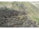 Scenic aerial view of treed acreage ready for development or a private estate at 10624 N 200 W, Alexandria, IN 46001