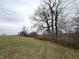 Sloped hillside with trees in the distance creates a tranquil scene under a soft sky at 10624 N 200 W, Alexandria, IN 46001