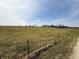 Expansive grassy land with mature trees, fenced border and a clear view of the horizon at 10624 N 200 W, Alexandria, IN 46001