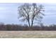 Trees stand on a meadow under a cloudy sky in this serene, nature-filled landscape image at 10624 N 200 W, Alexandria, IN 46001