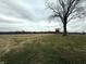 An open grassy field with a large tree in the foreground at 10624 N 200 W, Alexandria, IN 46001