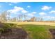 Expansive backyard with lush green grass, mature trees, and a clear blue sky at 10744 Eldorado Cir, Noblesville, IN 46060
