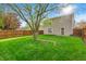 Spacious backyard with lush green grass, a mature tree, and a wooden privacy fence at 2011 Blue Pine Ln, Indianapolis, IN 46231