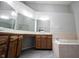 Bright bathroom features a large vanity with dual sinks, a soaking tub, and a separate glass-enclosed shower at 9303 Aintree Dr, Indianapolis, IN 46250