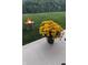 Patio with vibrant flowers, a fire pit, and a cozy ambiance for outdoor enjoyment at 11072 Song Creek Ct, Fishers, IN 46040